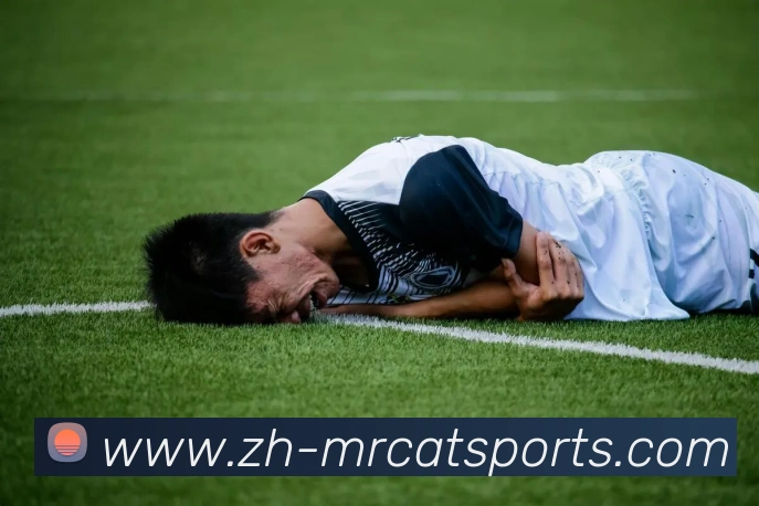 App Interface Preview