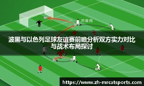 猫先生体育平台
