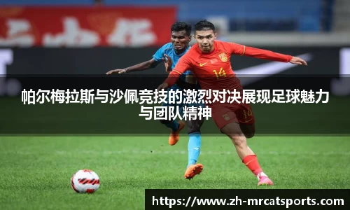 猫先生体育注册登录